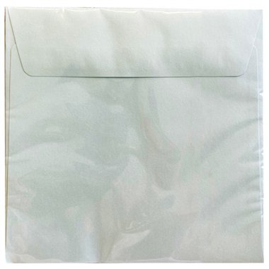 Buste Special Event 17x17 Silver 10 pz.