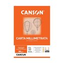 Blocchi Carta Millimetrata Canson 23x33 10F 25 pz.