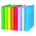 Cartelle 4 anelli Newcolor Lucida Assortita A4