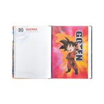 FP Diario non datato Dragonball 12 mesi Std 73319