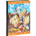 FP Diario non datato Dragonball 12 mesi Std 73319