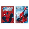 Diario non datato Spiderman