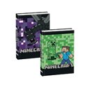 FP Diario non datato Minecraft  12 mesi Std.