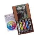 Maimeri Tempera Fine 20 ml  Set  5 Colori Primari