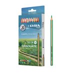 Pastelli Lyra Graduate Carton Box a 12